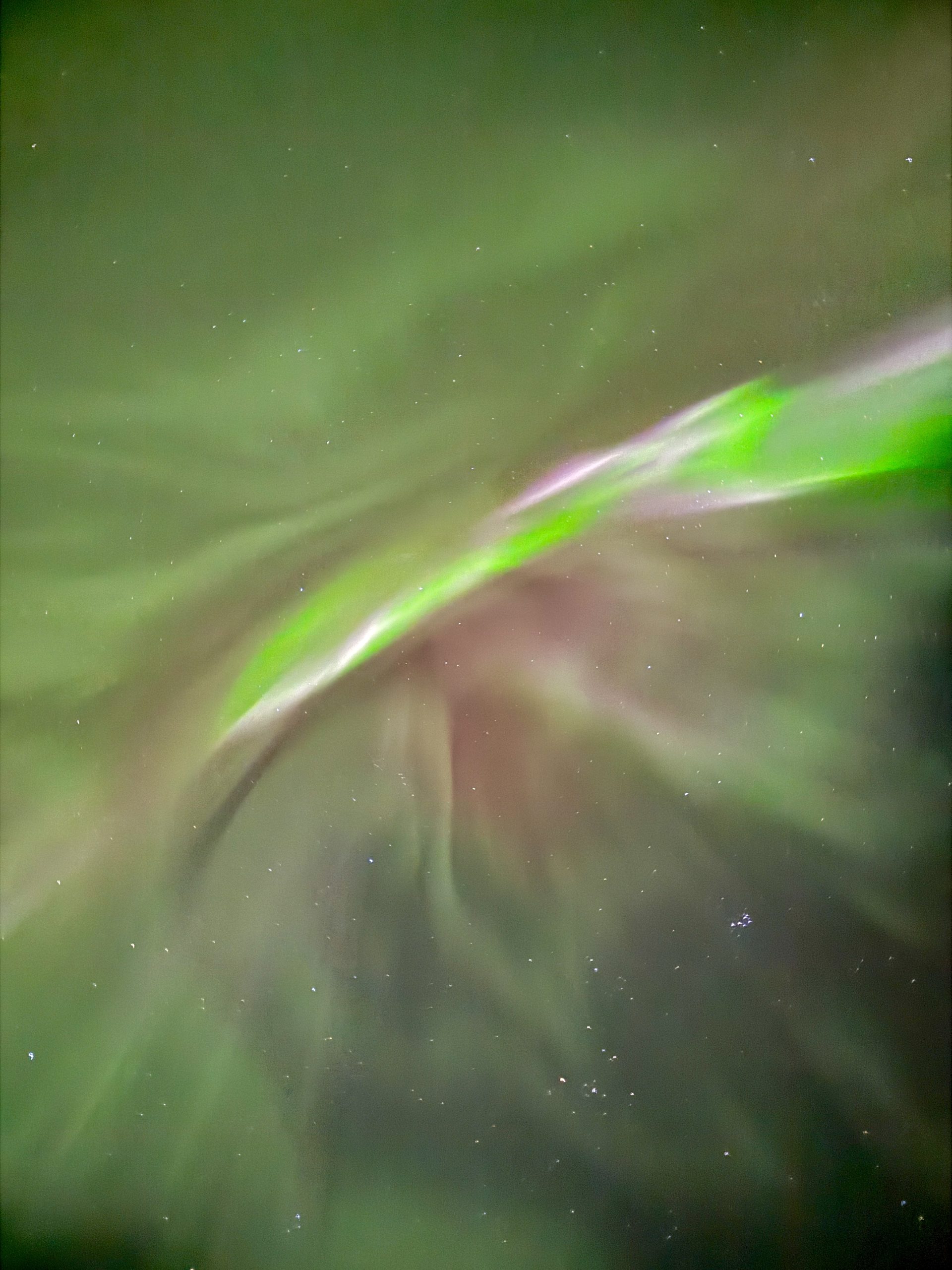 Green and purple Northern Lights (aurora borealis) dancing across the Icelandic night sky.